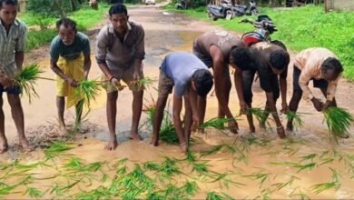 छत्तीसगढ़ में अनोखा प्रदर्शन—खस्ताहाल सड़क पर धान रोपकर ग्रामीणों ने सरकार का ध्यान खींचा 3 Pra 01 2