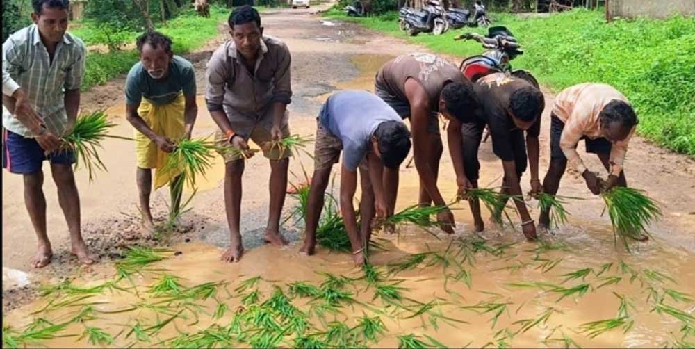छत्तीसगढ़ में अनोखा प्रदर्शन—खस्ताहाल सड़क पर धान रोपकर ग्रामीणों ने सरकार का ध्यान खींचा 1 Pra 01 2