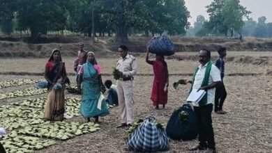 46 हजार से अधिक संग्राहकों के चेहरों पर मुस्कान, धरमजयगढ़ यूनियन बांटेगा 17.43 करोड़ रुपये बोनस 3 Tendu 01 1