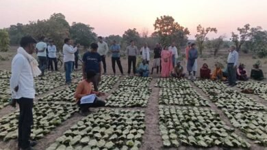 सुशासन का लाभ: तेन्दूपत्ता संग्राहकों को मिली आर्थिक मजबूती, करोड़ों की बोनस राशि हुई जारी 3 Tendu 01 4