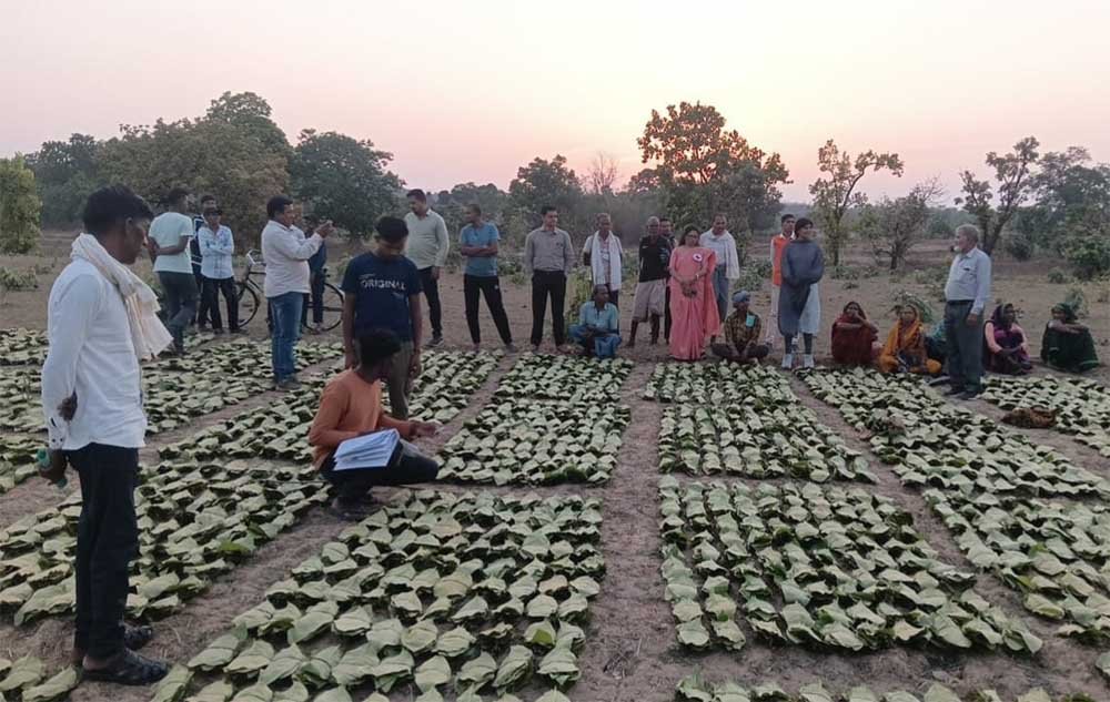 सुशासन का लाभ: तेन्दूपत्ता संग्राहकों को मिली आर्थिक मजबूती, करोड़ों की बोनस राशि हुई जारी 1 Tendu 01 4