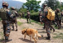 army indin 32 5