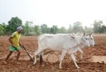 kISAN 01 2