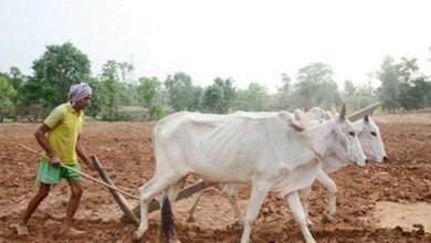 kISAN 01 2