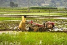 kISAN 02 4