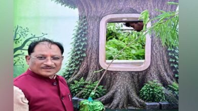 वन विभाग की अभिनव पहल से निःशुल्क पौधों का होगा वितरण, पर्यावरण संरक्षण का दिया जाएगा संदेश 3 tREE 01 4