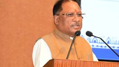 मुख्यमंत्री विष्णु देव साय की घोषणा पर अमल, उद्यान निर्माण के लिए 95.3 लाख स्वीकृत 2 vishnu 72 1 2