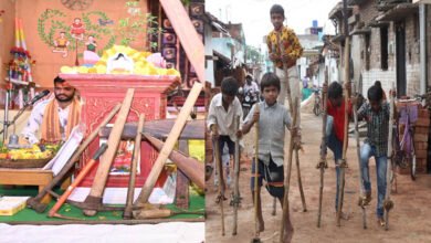 हरेली तिहार: छत्तीसगढ़ की मिट्टी से जुड़ा लोकपर्व, जहां प्रकृति और किसान परंपरा का होता है संगम 2 10A 173