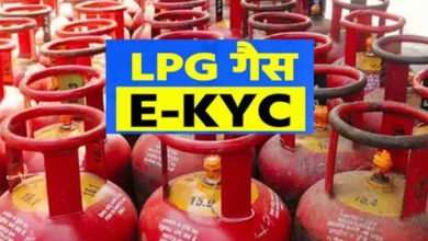 LPG e-KYC Update: 16 अगस्त की डेडलाइन से पहले जान लें नियम, वरना गैस सिलेंडर को लेकर हो सकती है परेशानी 2 1A 154