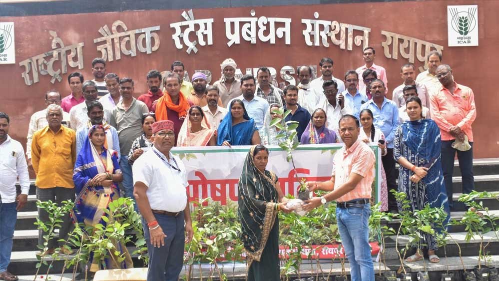 आईसीएआर-एनआईबीएसएम द्वारा 'पोषण वाटिका' पर प्रशिक्षण कार्यक्रम आयोजित 1 25A 193