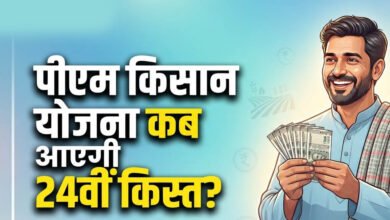PM Kisan 24th Kist Update: खाते में कब आएंगे ₹2,000, ऐसे चेक करें अपना स्टेटस 2 31A 204