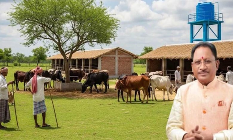 छत्तीसगढ़ में गौसंरक्षण को बढ़ावा, 1460 गौधाम स्थापना की तैयारी; निराश्रित मवेशियों को मिलेगा आश्रय 7 5A 174 2