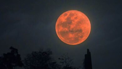 Raksha Bandhan Moon 2026: रक्षाबंधन की रात चांद क्यों दिखेगा खास? जानें इसकी असली वजह 1 6A 125