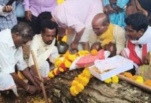 Chhattisgarh News 01 2 11