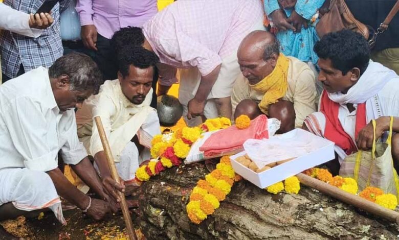 पाट जात्रा के साथ बस्तर दशहरा का आगाज, जानिए क्या है इस खास रस्म का महत्व 6 Chhattisgarh News 01 2 11