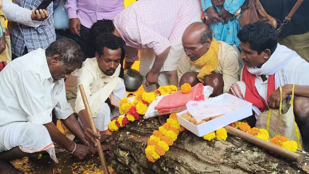पाट जात्रा के साथ बस्तर दशहरा का आगाज, जानिए क्या है इस खास रस्म का महत्व 1 Chhattisgarh News 01 2 11