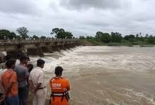 Chhattisgarh News 01 3 1