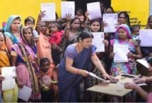 Chhattisgarh News 01 3 19