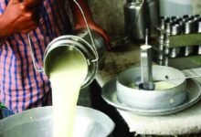 Chhattisgarh News 04 2 4