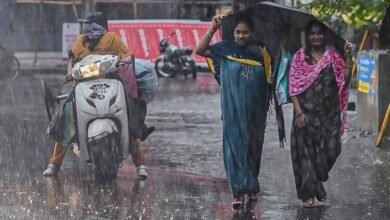 CG Weather Update: 3 दिन बाद फिर एक्टिव होगा मानसून, रायपुर समेत कई जिलों में आज बारिश का अलर्ट 2 Chhattisgarh News 04 2 9