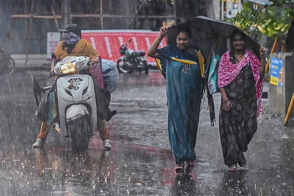 CG Weather Update: 3 दिन बाद फिर एक्टिव होगा मानसून, रायपुर समेत कई जिलों में आज बारिश का अलर्ट 1 Chhattisgarh News 04 2 9