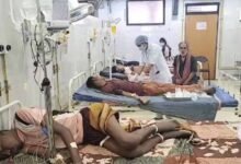 Chhattisgarh News 04 3 1