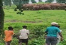 Chhattisgarh News 04 3 12