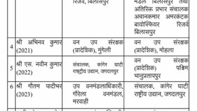 CG Forest Department Transfer: वन विभाग में तबादलों की लिस्ट जारी, कई वन मंडलाधिकारी बदले 2 Chhattisgarh News 04 3 17