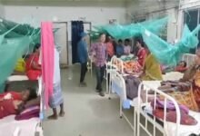 Chhattisgarh News 05 1 3