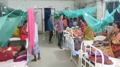Chhattisgarh News 05 1 3