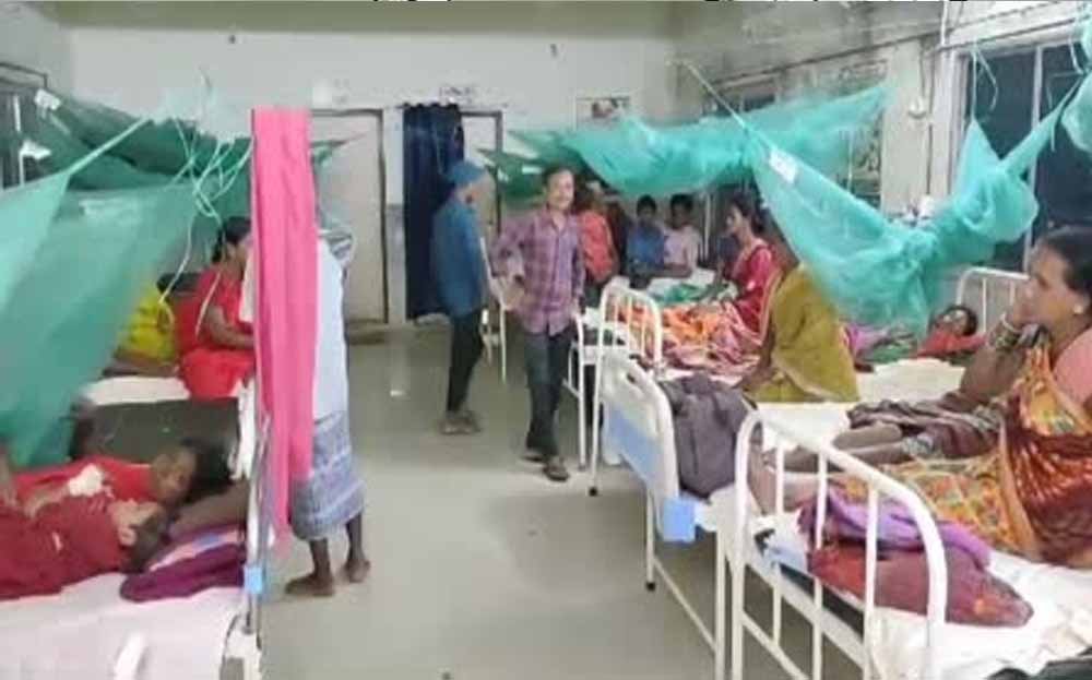 बिलासपुर में मलेरिया का बढ़ता खतरा, एक मरीज की मौत, 2 नए संक्रमित मिले 1 Chhattisgarh News 05 1 3