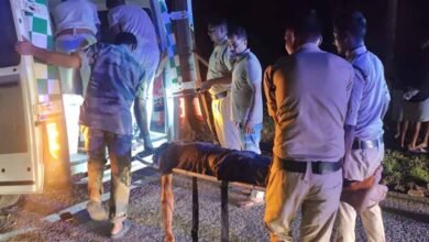 पिकअप और ट्रक में जोरदार भिड़ंत, CG में दर्दनाक हादसे में 3 मजदूरों की मौत 3 Chhattisgarh News 05 3 19