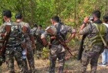 Chhattisgarh News 05 3 7