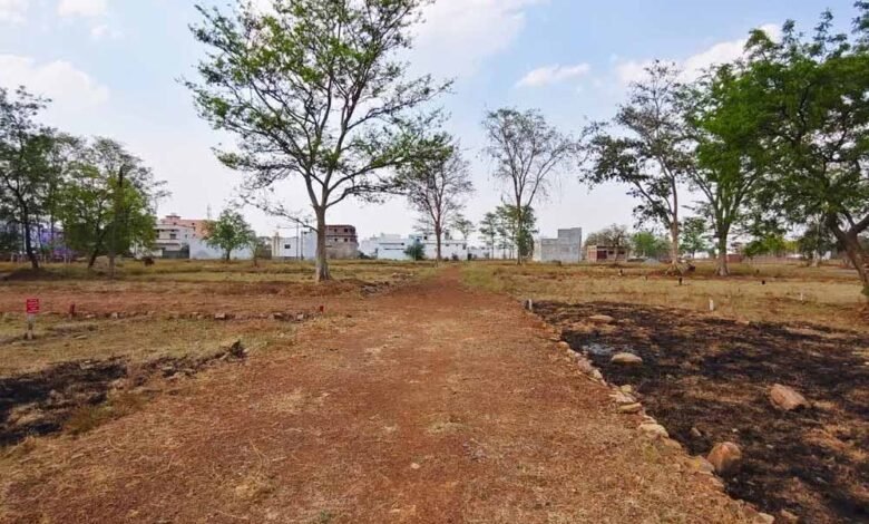 CG में धड़ल्ले से हो रही खेतों की प्लॉटिंग, भू-माफियाओं के खेल में किसानों की सैकड़ों एकड़ फसल बर्बाद 5 Chhattisgarh News 07 1 7