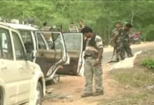 Chhattisgarh News 08 3 5