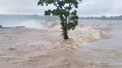 CG में बारिश का कहर! उफान पर इंद्रावती नदी, दर्जनों गांवों का संपर्क टूटा 5 Chhattisgarh News 09 3 15