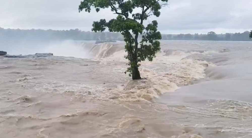CG में बारिश का कहर! उफान पर इंद्रावती नदी, दर्जनों गांवों का संपर्क टूटा 1 Chhattisgarh News 09 3 15