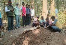 Chhattisgarh News 10 2 4