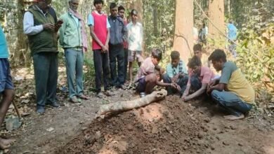 Chhattisgarh News 10 2 4