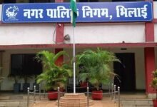 Chhattisgarh News 10 3 5