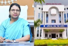 Chhattisgarh News 11 3 1