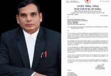 Chhattisgarh News 11 3 7