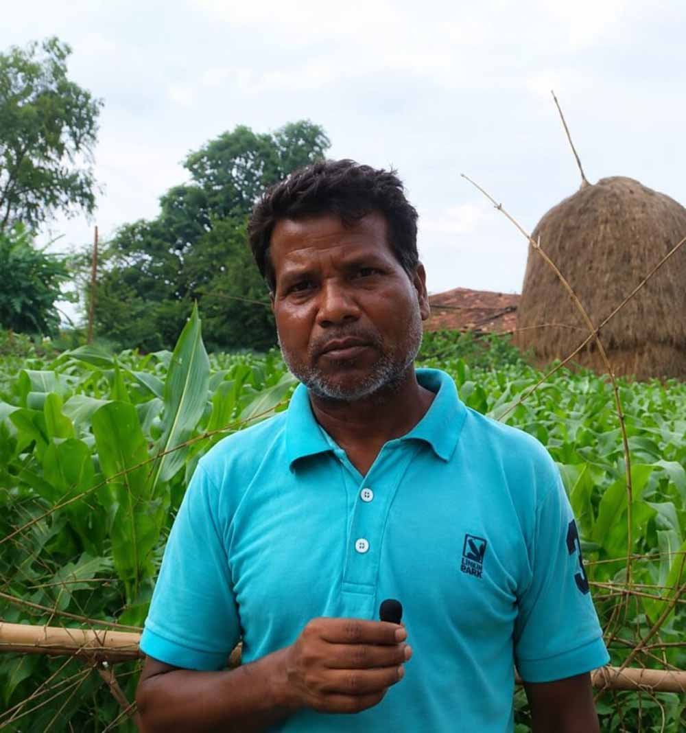 किसानों के लिए संबल बना राष्ट्रीय खाद्य सुरक्षा एवं पोषण मिशन, अम्बिकापुर में मिल रहा लाभ 1 Chhattisgarh News 14 2 1