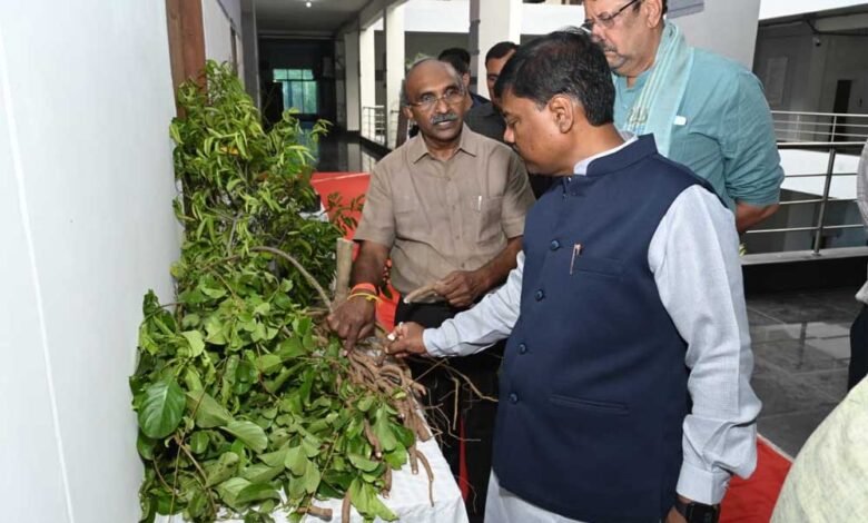 औषधीय पौधों की खेती को मिलेगा बढ़ावा, किसानों की आय में होगी बढ़ोतरी : वन मंत्री 6 Kedar 03