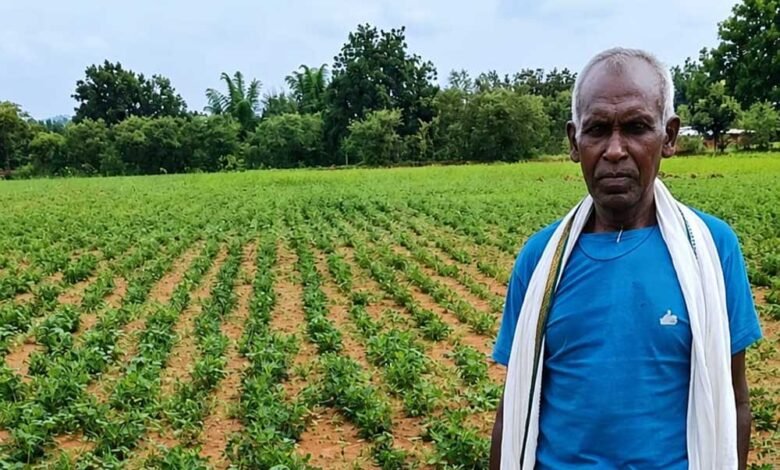 NMEO योजना से किसान बेसाहू राम की खेती को मिली नई दिशा 4 Khet 01