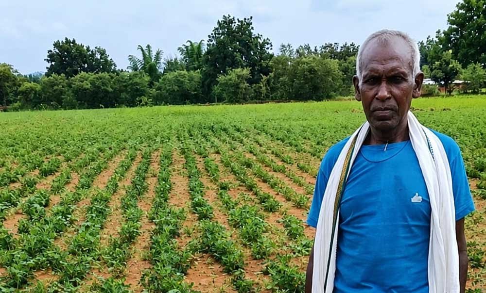 NMEO योजना से किसान बेसाहू राम की खेती को मिली नई दिशा 1 Khet 01