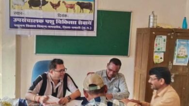 शुपालन केसीसी से धमतरी के 93 पशुपालकों को मिली 98.62 लाख की वित्तीय संजीवनी 2 Kisan 05
