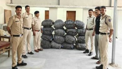 विगत एक सप्ताह में लगभग 5 करोड़ 41 लाख रुपए से अधिक मूल्य के मादक पदार्थ एवं अन्य संपत्ति जब्त 7 Nasha 01 3