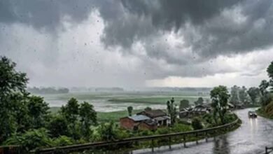 Chandigarh Weather: AI मॉडल से बारिश का सटीक पूर्वानुमान लगाने की तैयारी, ट्रायल शुरू 4 Punjab News 09 3 1