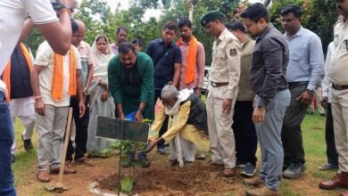 एक पेड़ माँ के नाम अभियान से बदली उजड़ी वन भूमि की तस्वीर 2 Tree 01